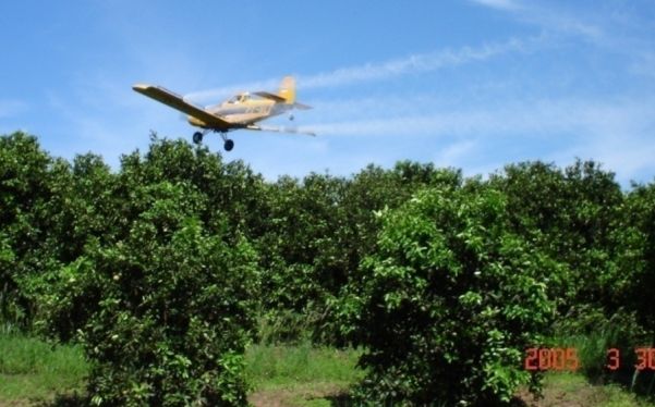 Importância da aplicação aérea no controle de pragas de citrus